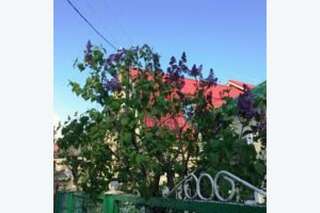 Гостевой дом Магадан Анапа-2