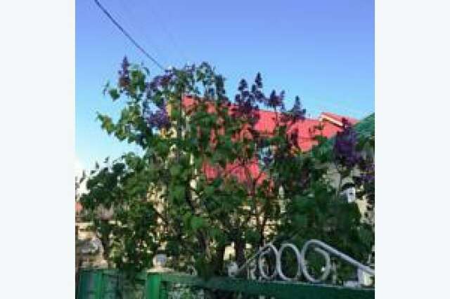 Гостевой дом Магадан Анапа-5